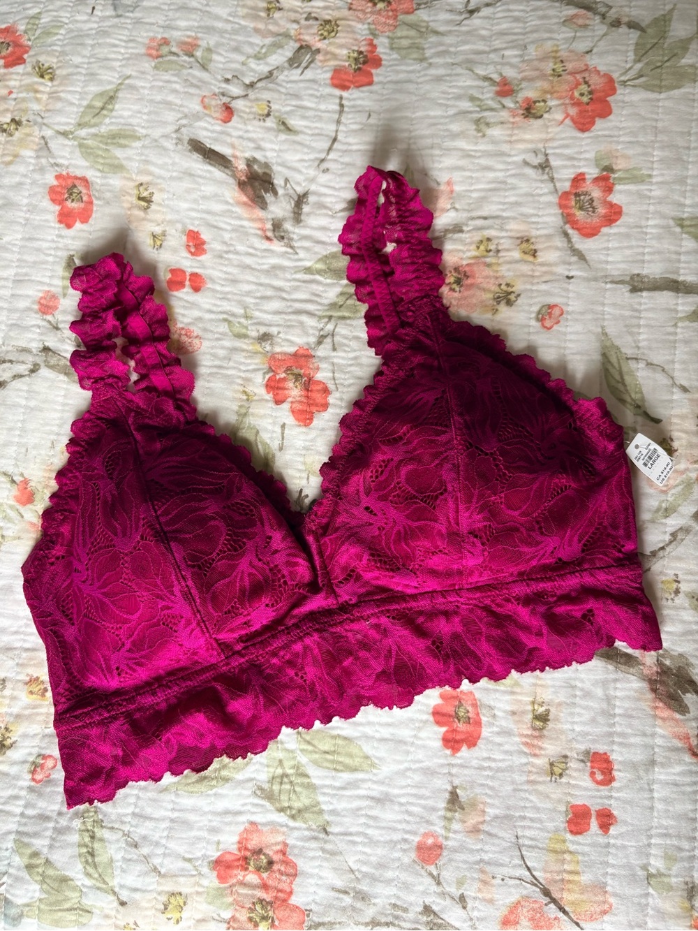 NWT Maurice Lace Bralette - Fuchsia Pink